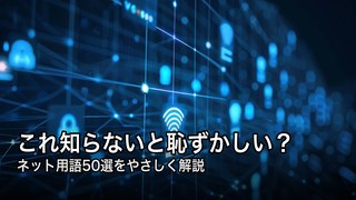 ネット用語まとめ decoding=
