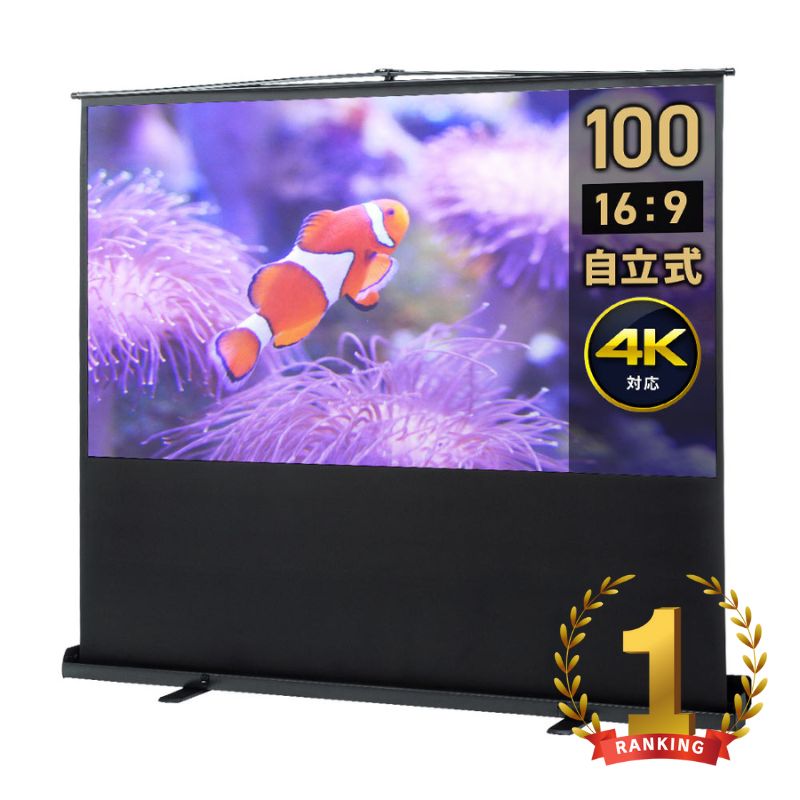 グランドビュー プロジェクタースクリーン 100インチ